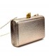 BOLSO FIESTA ICJY240243 CHAMPAGNE