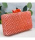 BOLSO RAFIA RMRM1095
